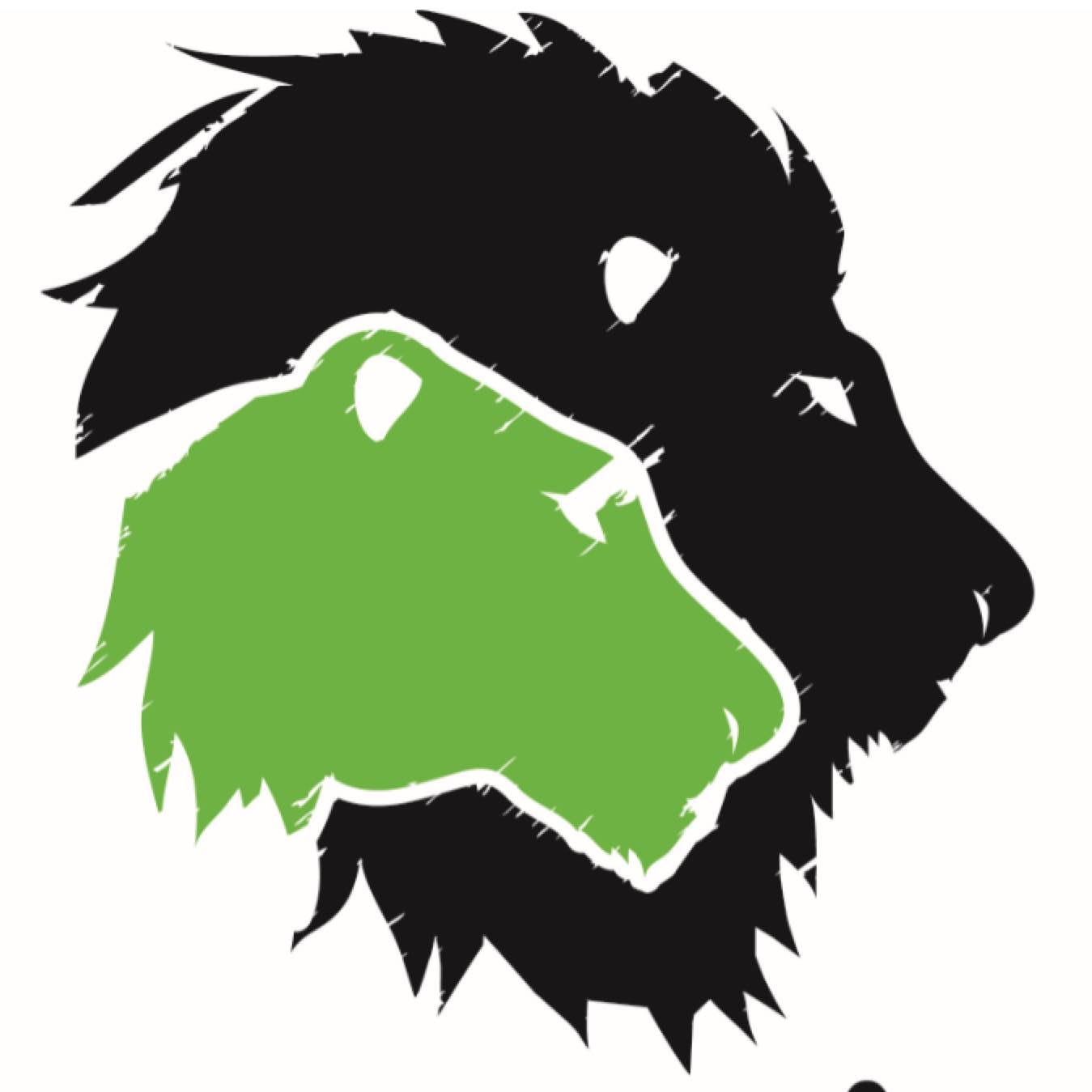 310858733 492682206203638 5599785730754760080 n